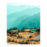 Delight Ii (Print Only) thumbnail