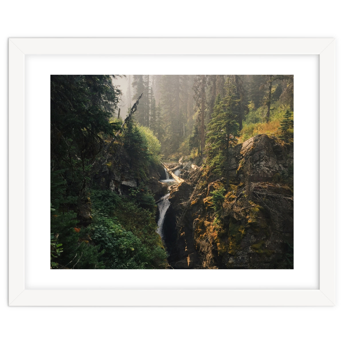 Glacier National Park I