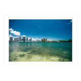 305 (Print Only) thumbnail