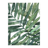 tropical 5 (Print Only) thumbnail
