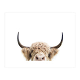 Peeking Cow (Print Only) thumbnail