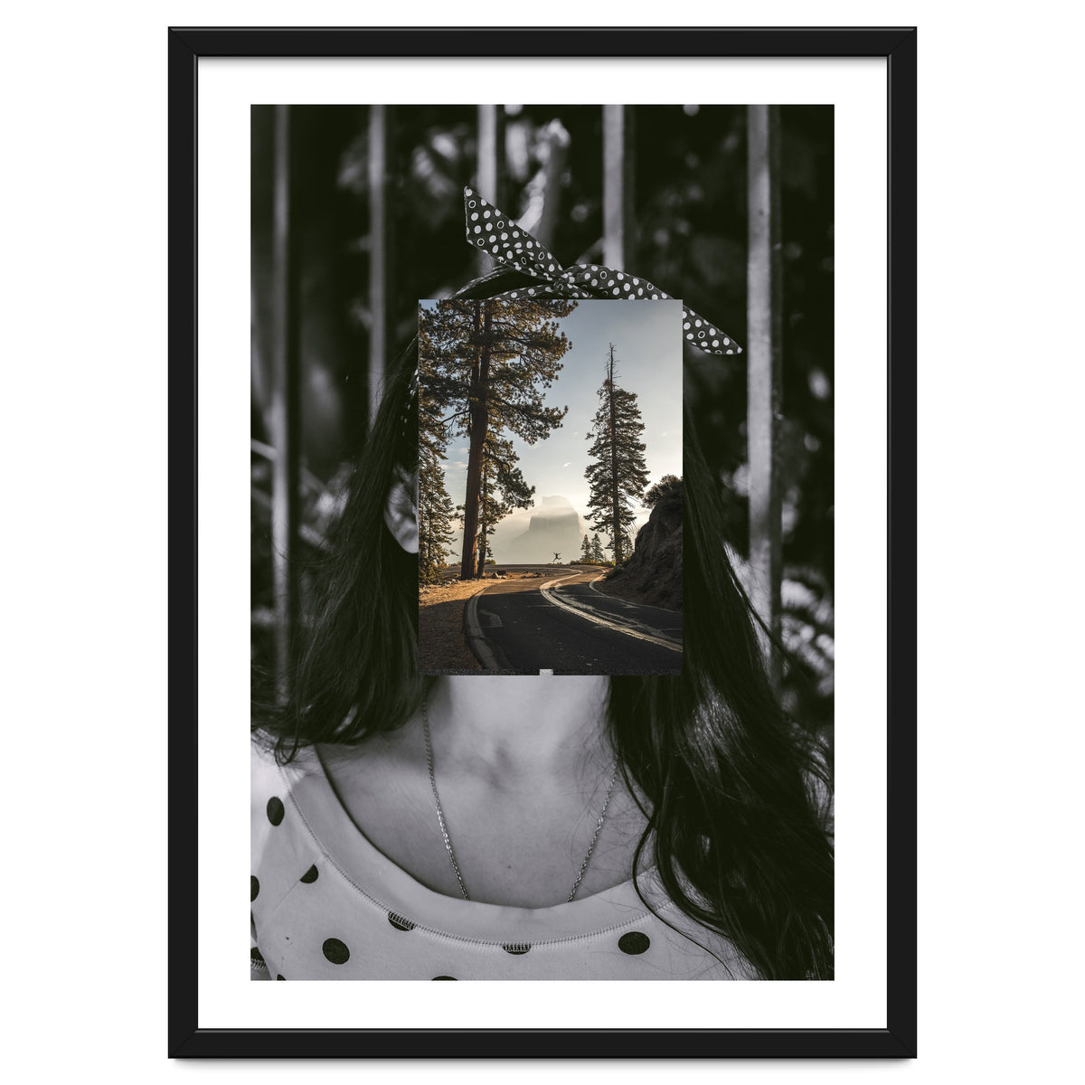 Silva Where Are You?