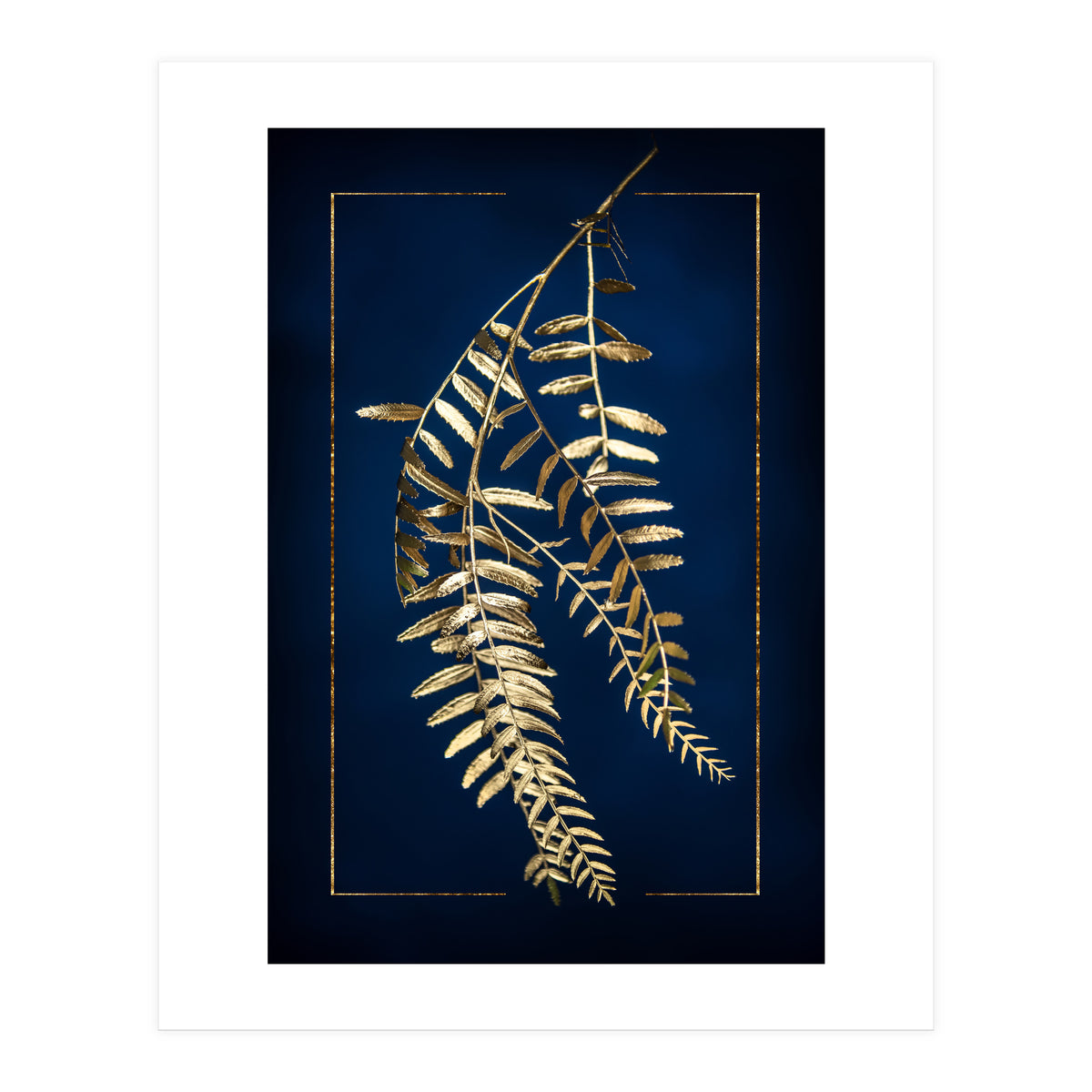 Golden Pepper Tree (Print Only)