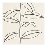 LEAF IN LINE 01 (Print Only) thumbnail