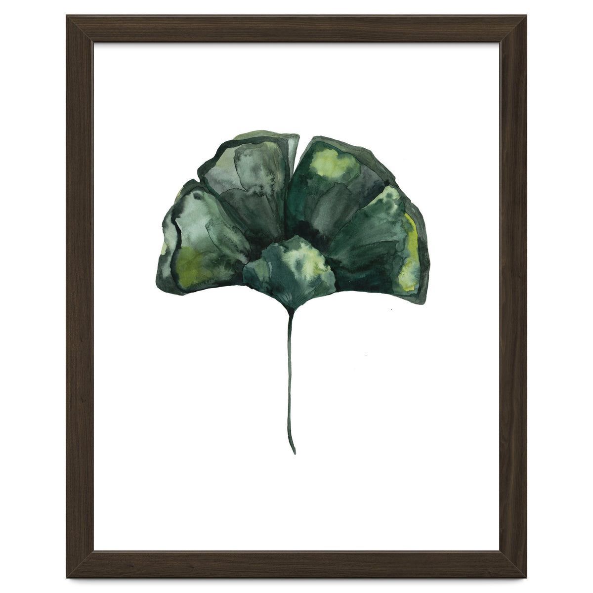 Botanical Illustration Ginko