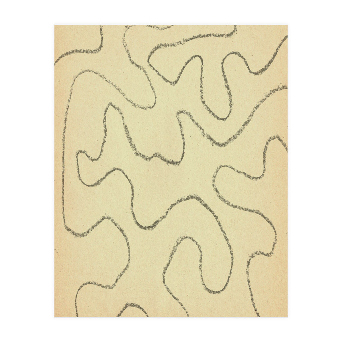 Abstract organic lines (Print Only)