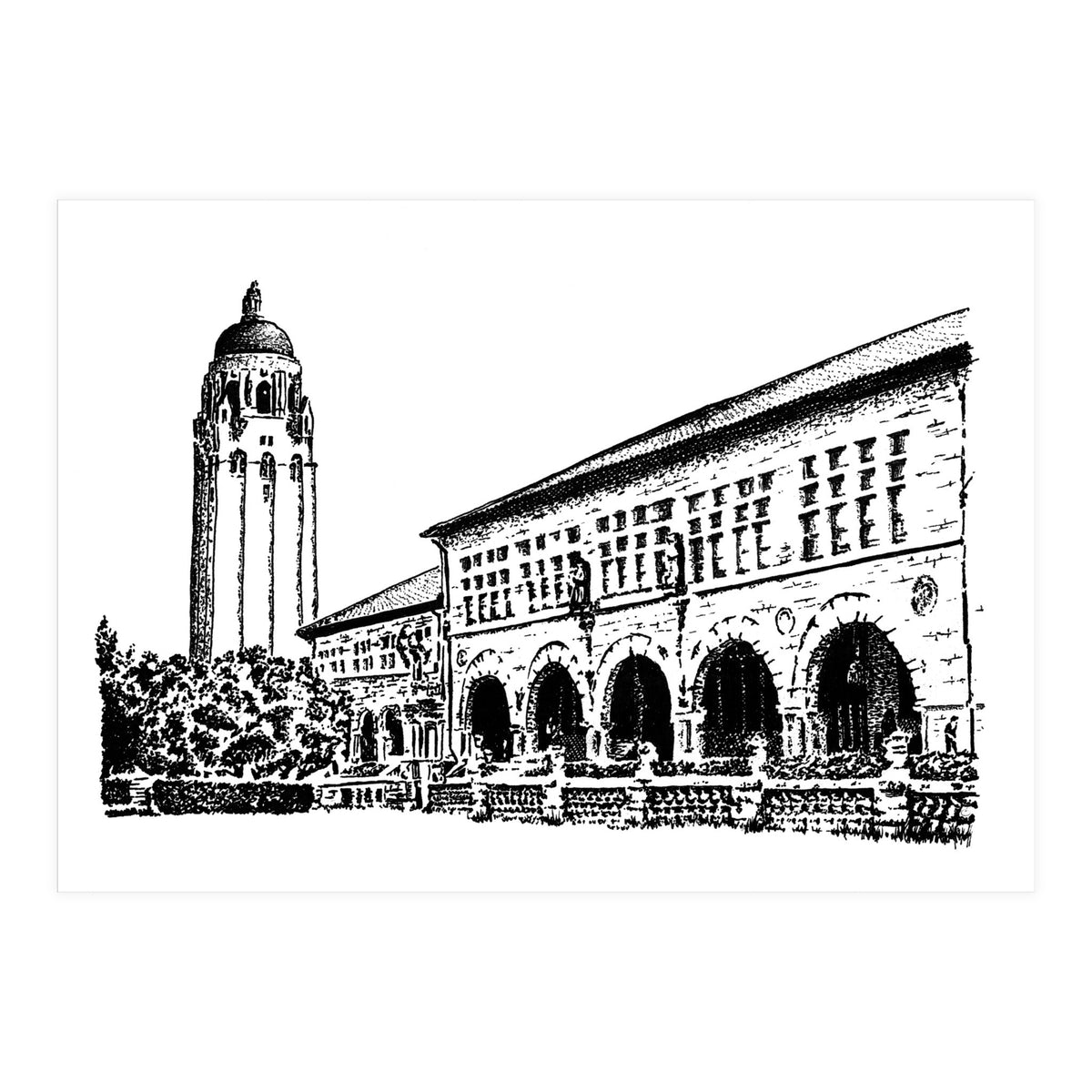 Stanford University (Print Only)