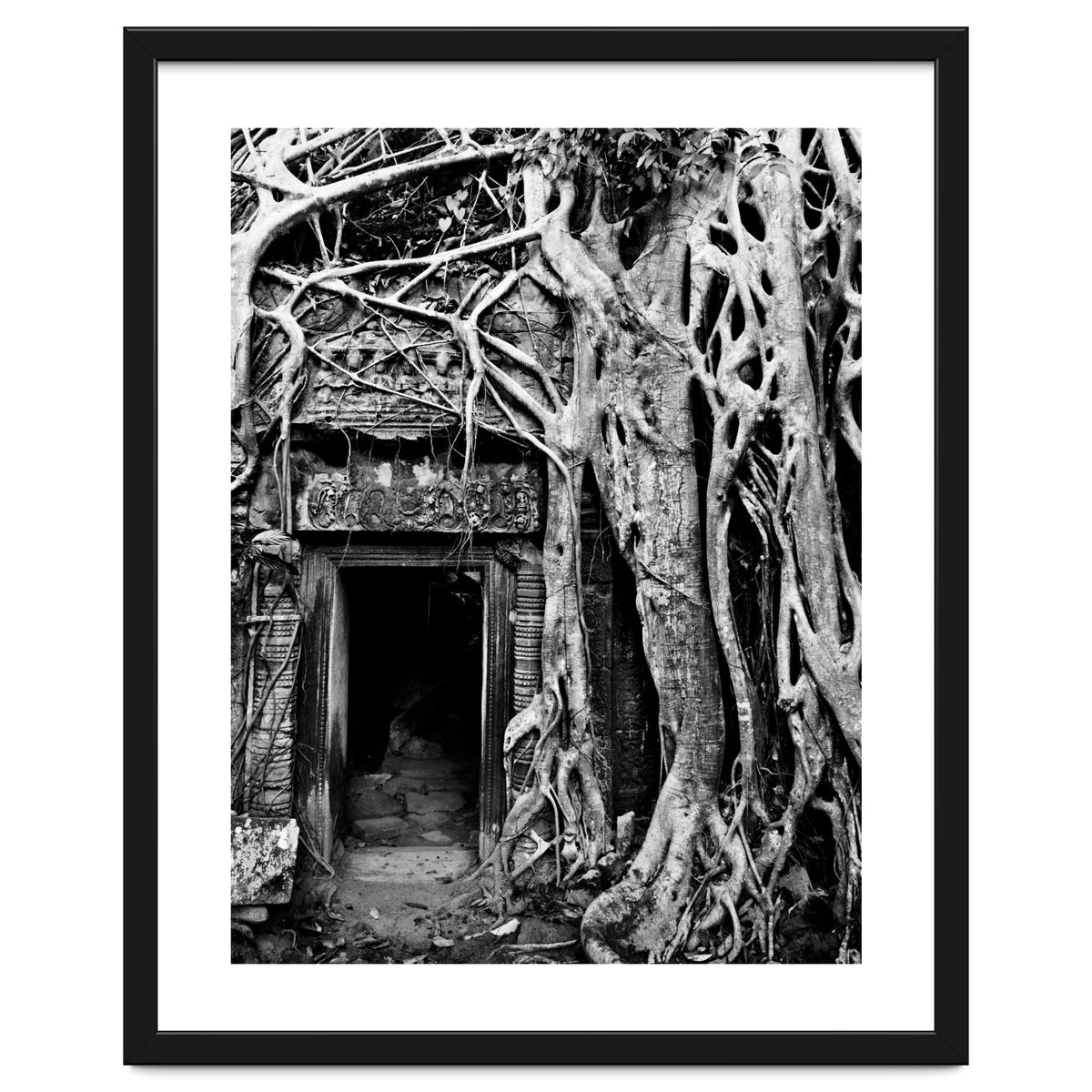 Ta Prohm Temple, Cambodia