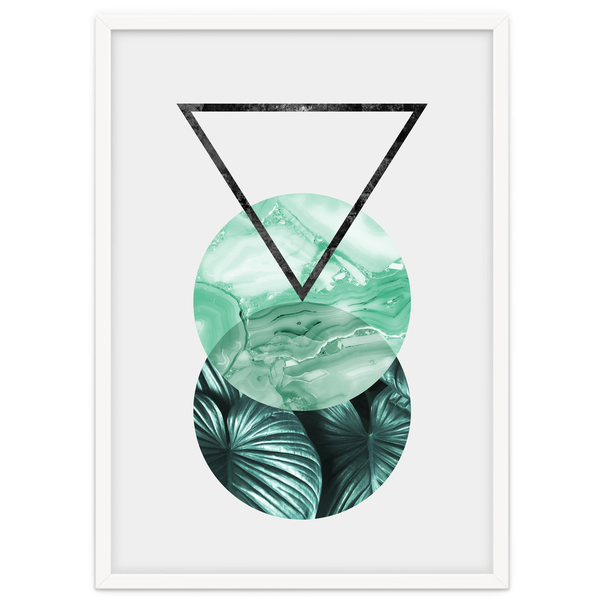 Botanical and geometric II