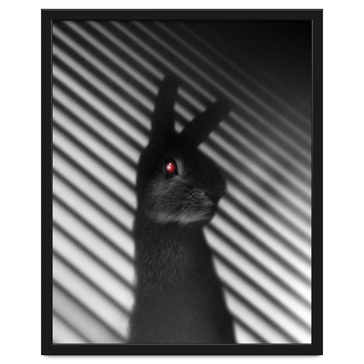 Shadow Bunny