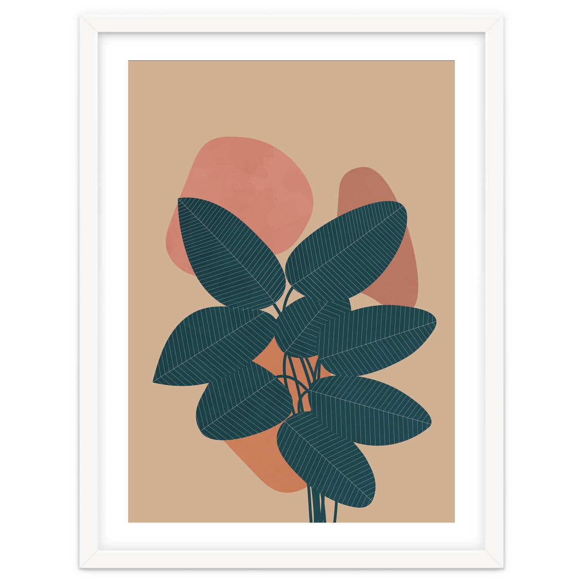 Rubber Plant Boho Botanical