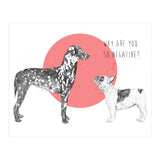Why Are You So Negative? (Print Only) thumbnail