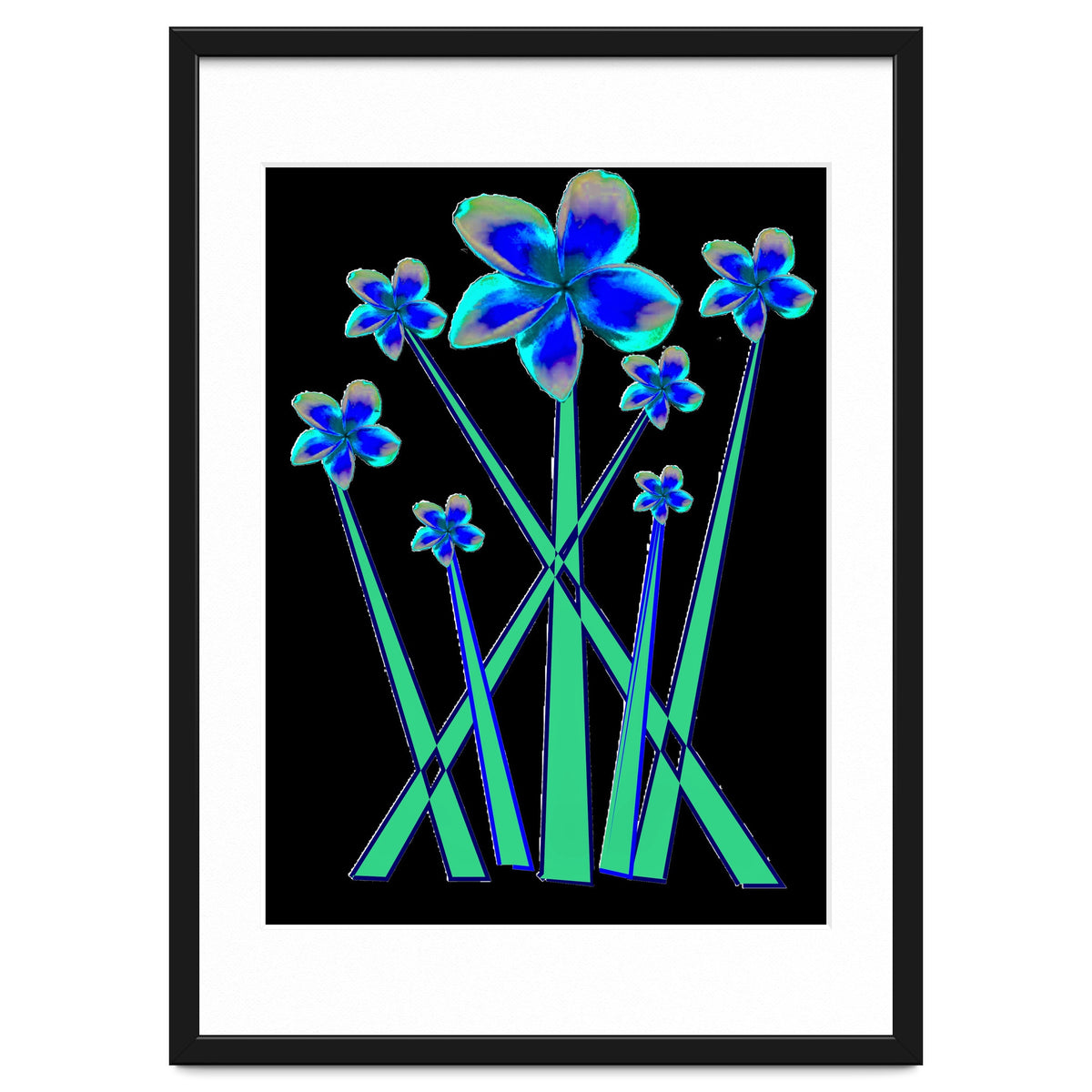 Blue flowers on black.