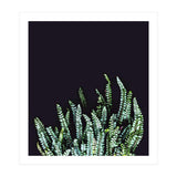 Dark Nature (Print Only) thumbnail