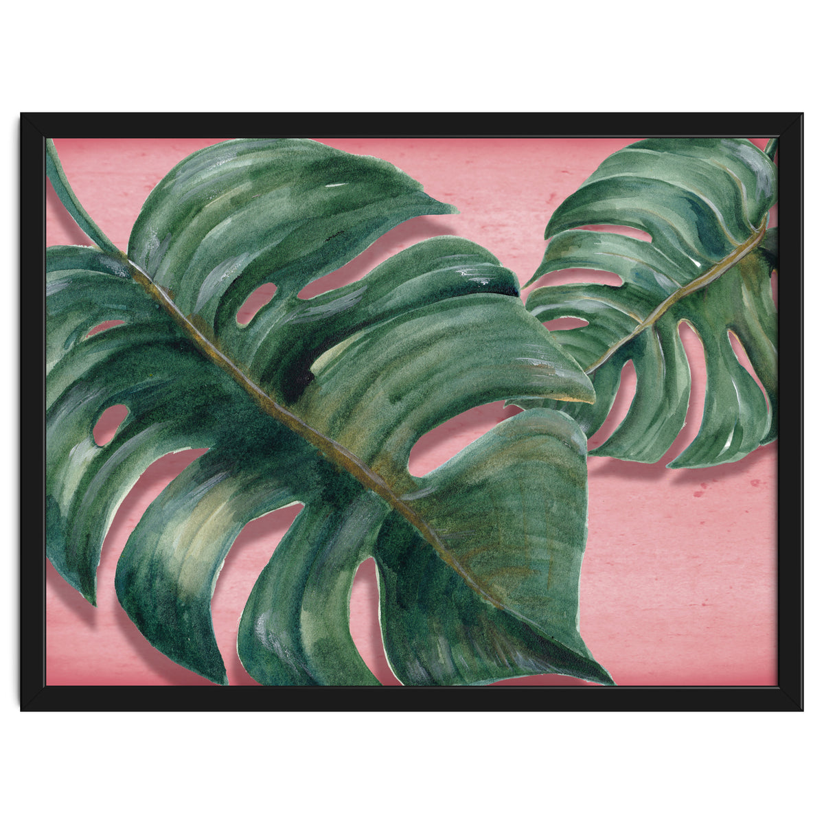 Monstera Leaf