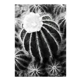 Cactus (Print Only) thumbnail
