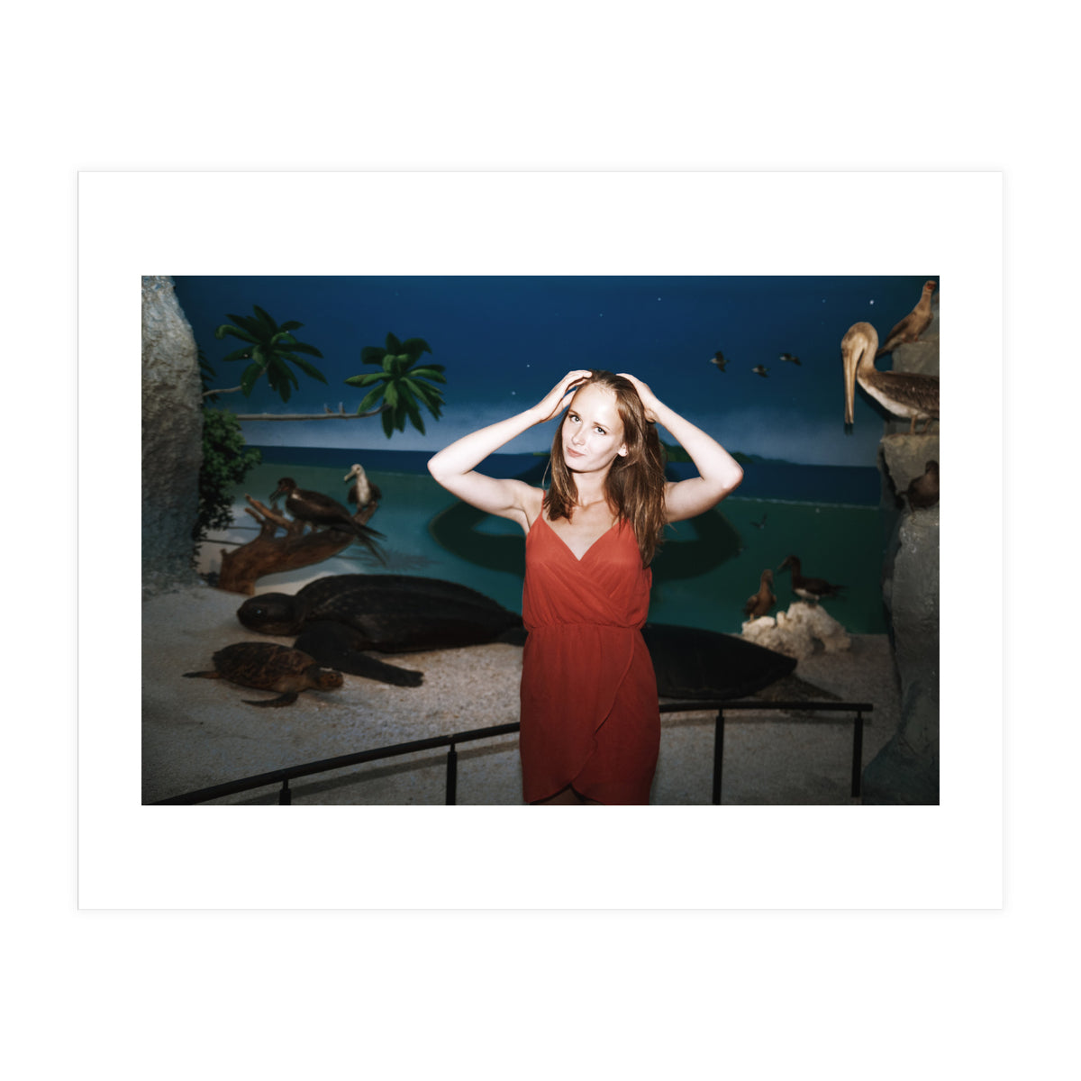 Galapagos (Print Only)