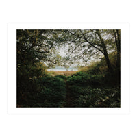 Tomales Bay (Print Only)