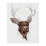Smokin Buck (Print Only) thumbnail