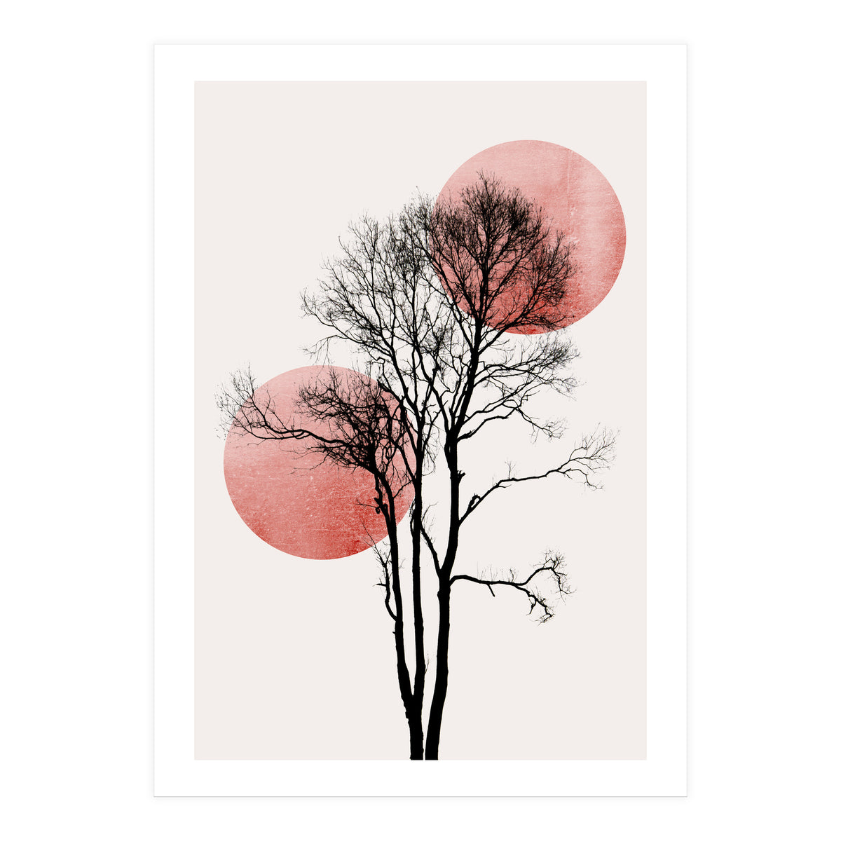 Sun And Moon Hiding Rosè (Print Only)