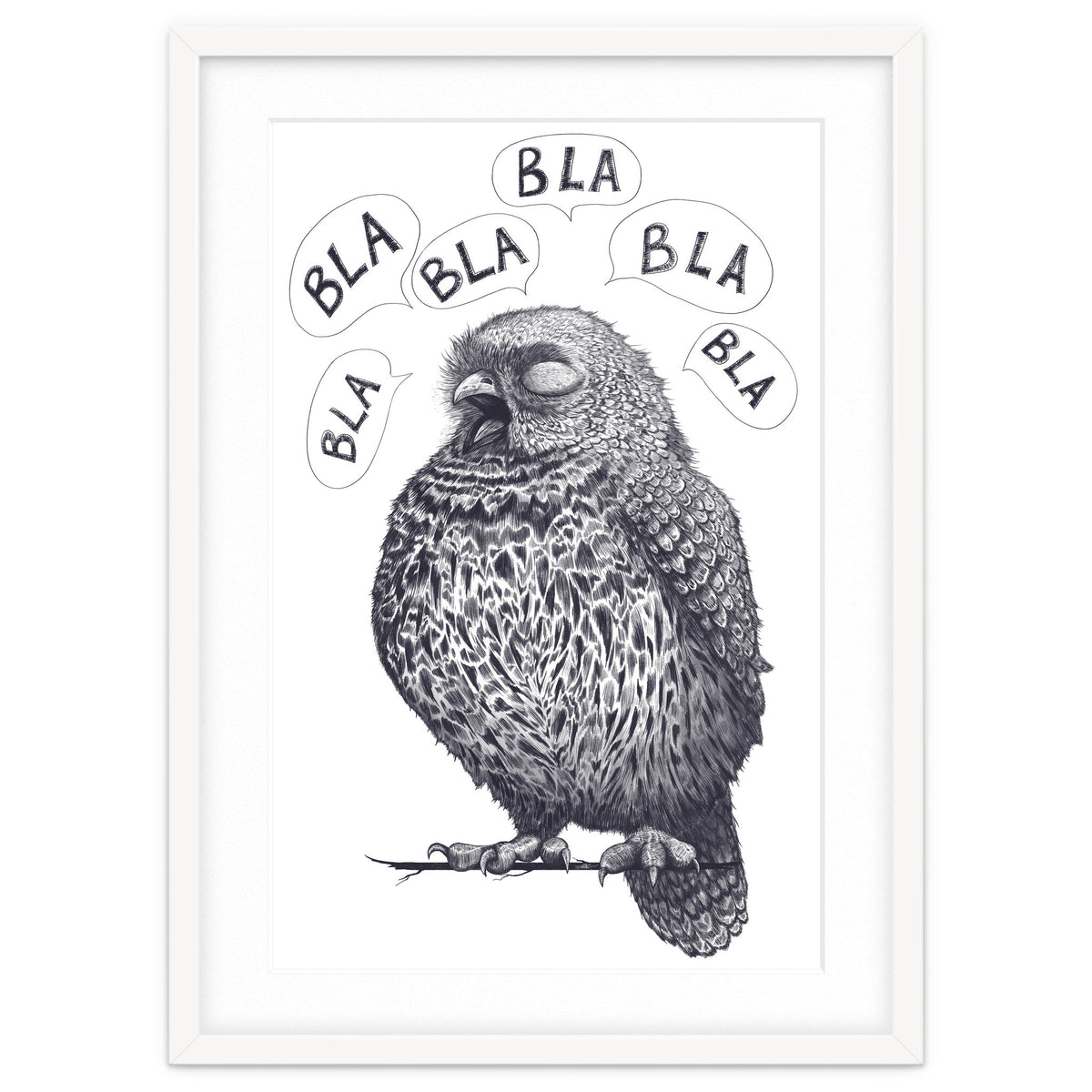 Owl Bla Bla Bla