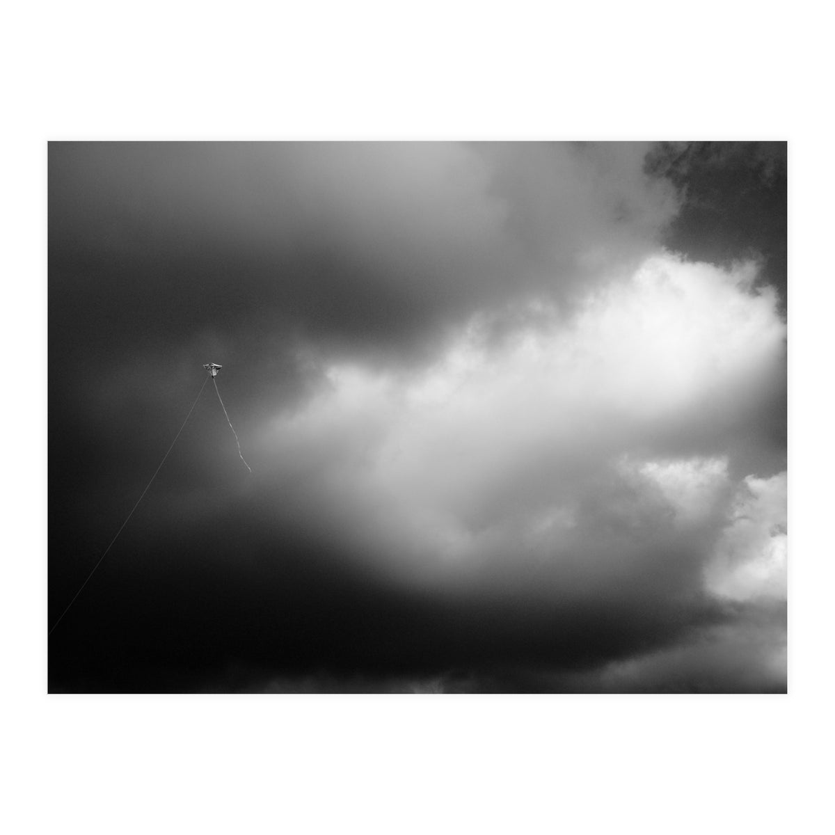 The Kite (Print Only)