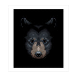 Shadows grizzly (Print Only) thumbnail