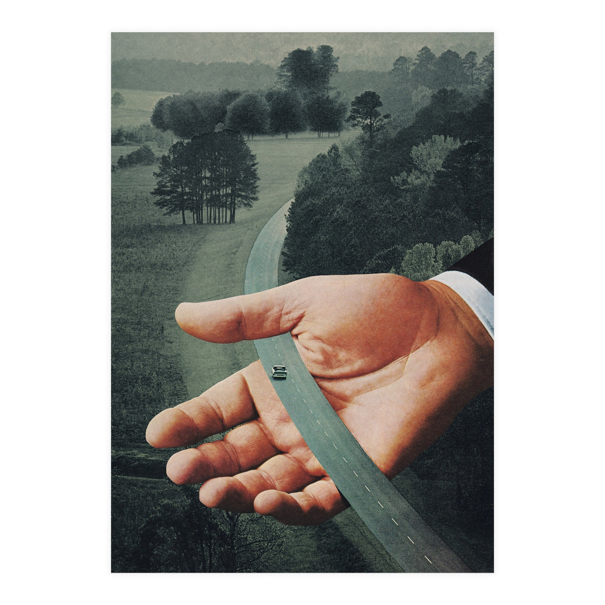 Comfort Zone (Print Only)