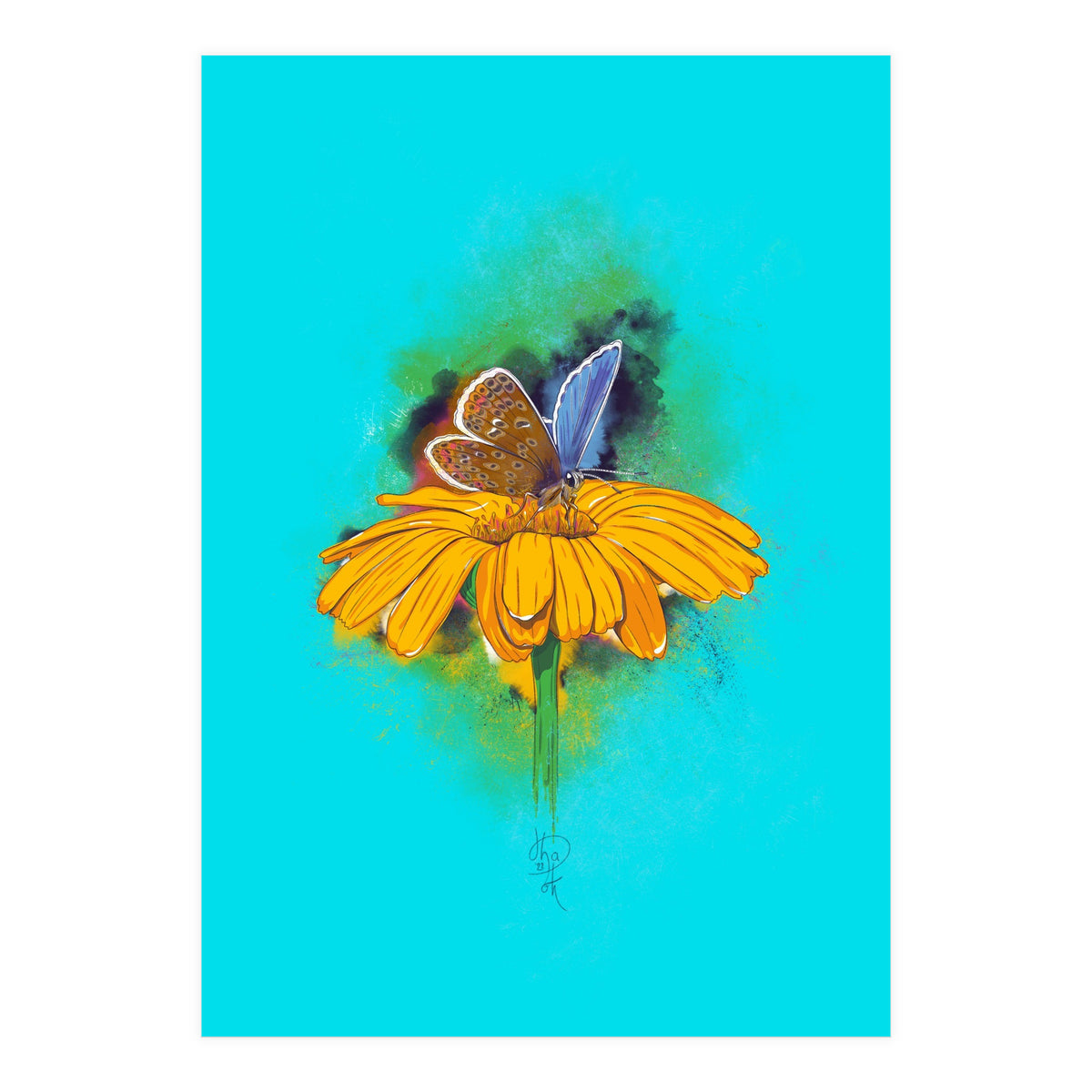 Butterfly 5 (Print Only)