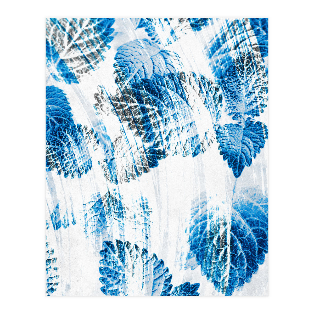 Raining Forest No5 (Print Only)