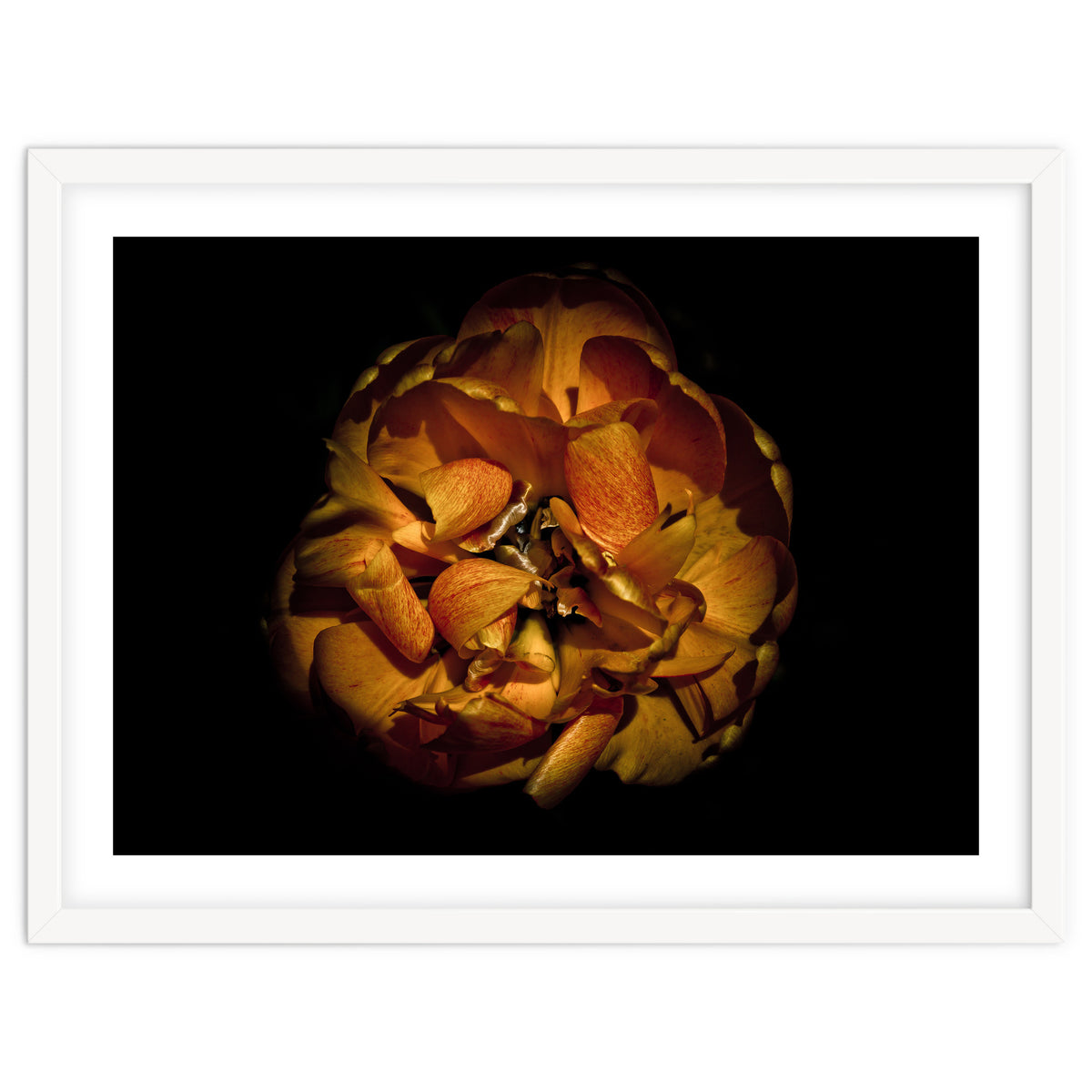 Backyard Flowers No 80 Color Version