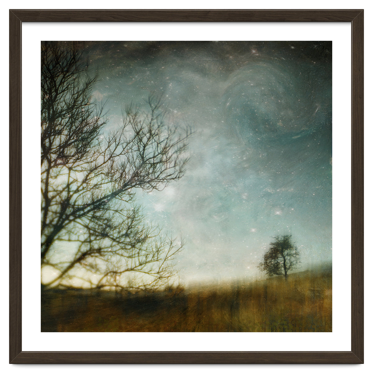 The Tree That Whispered