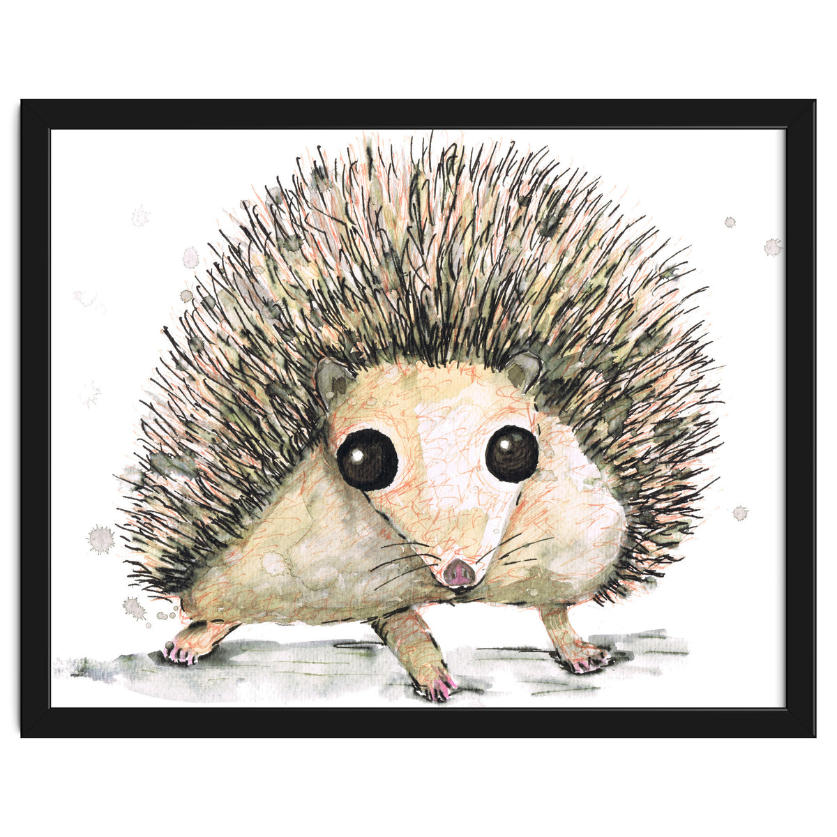 Hedgehog