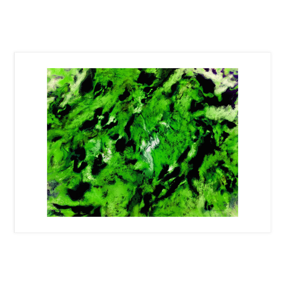 More Distinguishing Marks (Print Only)