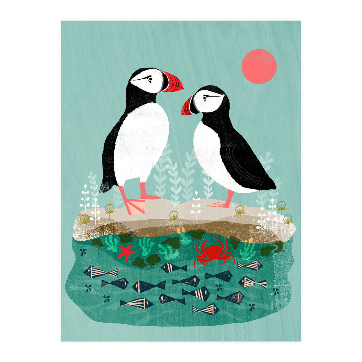 Puffin (Print Only)