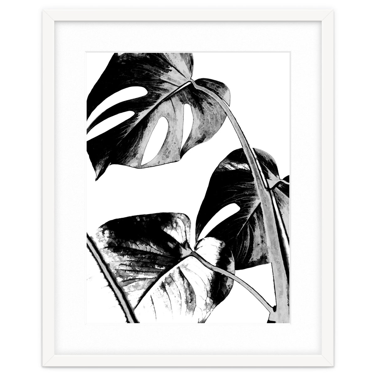 Black Tropical Leaves