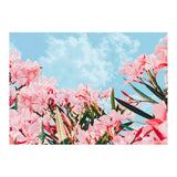Blush Blossom II (Print Only) thumbnail