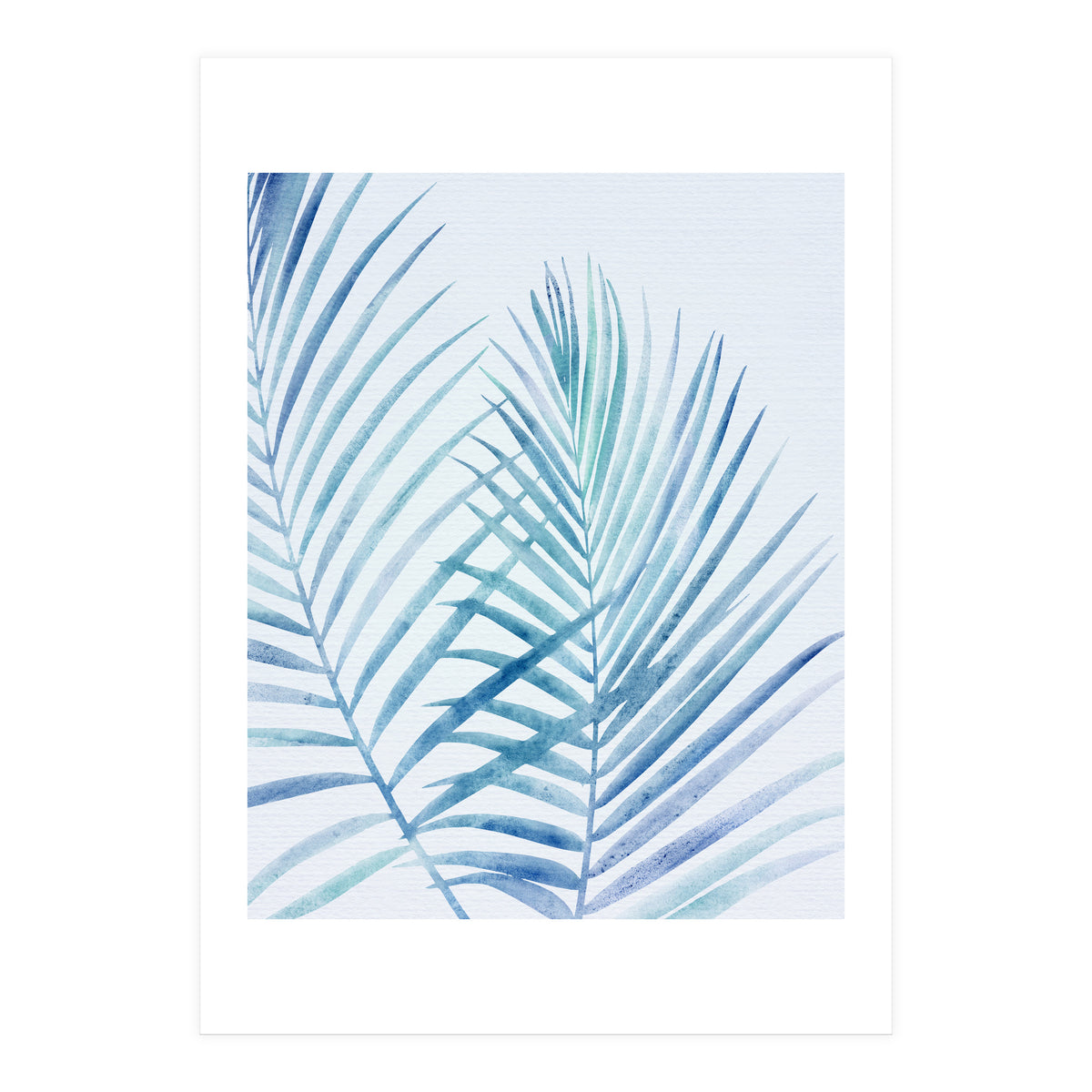Coastal Palm Fronds (Print Only)