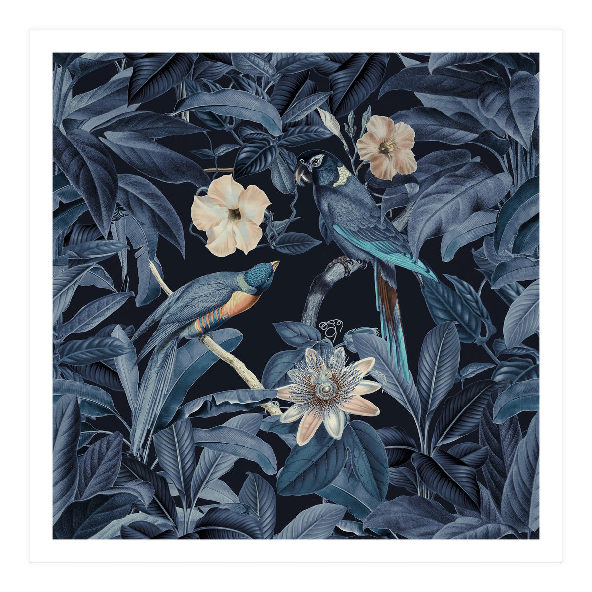 Exotic Jungle Birds At Night (Print Only)