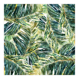 Classic Palm (Print Only) thumbnail