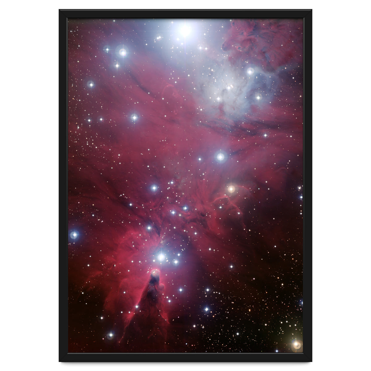 The Christmas Tree Cluster