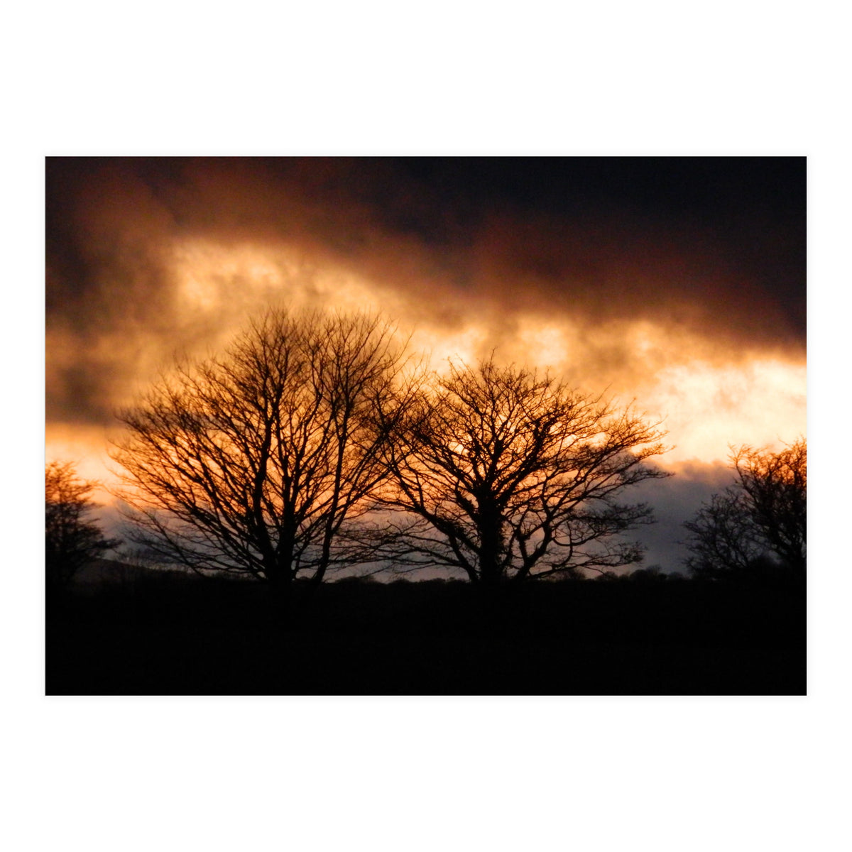 Spring Sunset (Print Only)