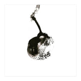 Hanging (Print Only) thumbnail