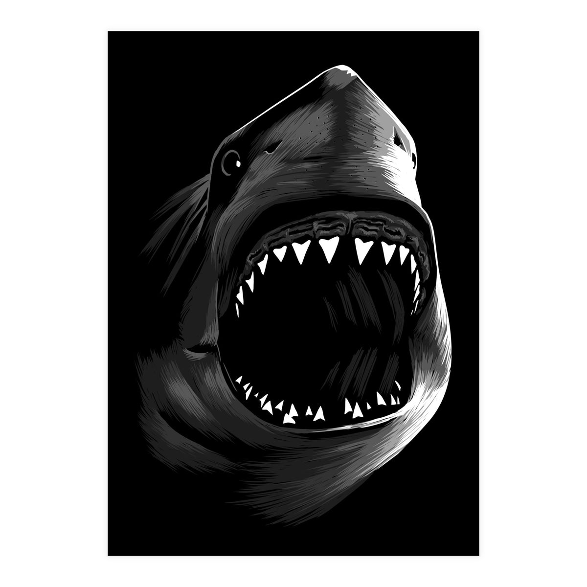 Megalodon (Print Only)