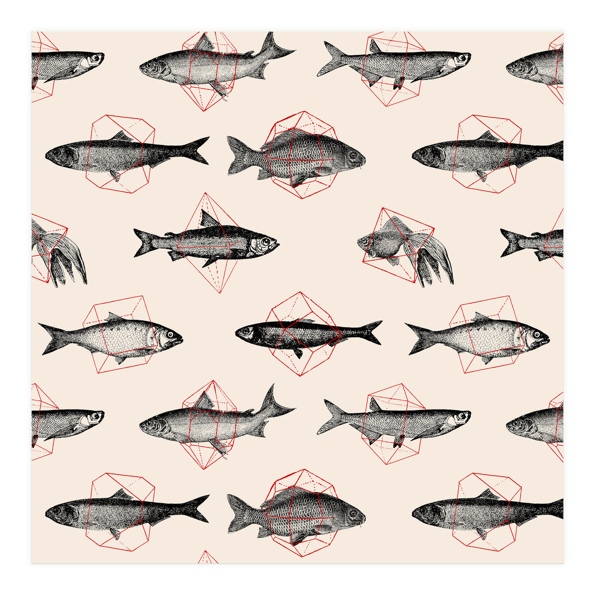 Fish In Geometrics  (Print Only)