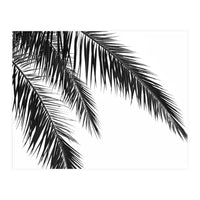 Palm Leaves (Print Only)