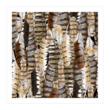 Owl Feathers (Print Only) thumbnail