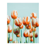 Estelle (Print Only) thumbnail
