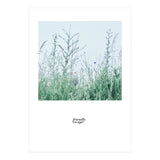 Friendly escape - Nature Photography - (Print Only) thumbnail