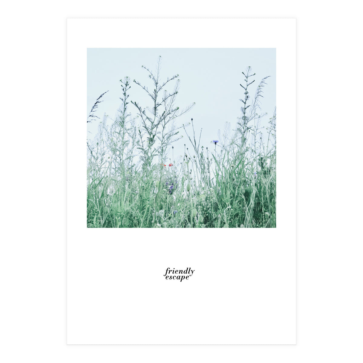 Friendly escape - Nature Photography - (Print Only)